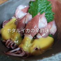 画像681